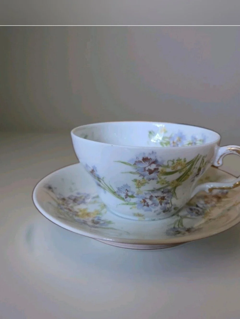 Antique Theodore Haviland Limoges Cup Saucer Blue Cornflower Schleiger 603b